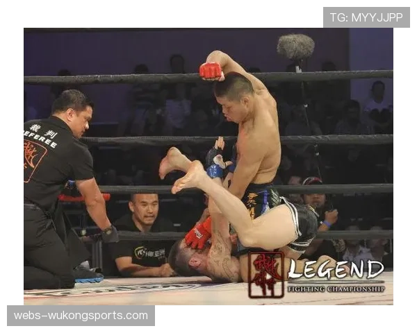 “吸血魔”李景亮退役战侧记：一个中国综合格斗开拓者的告别